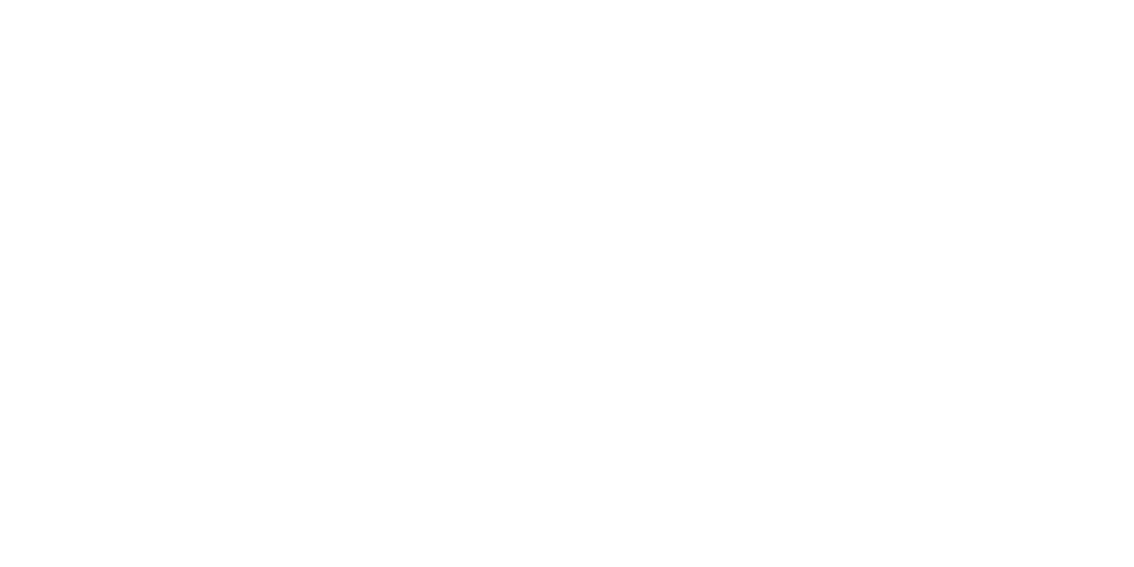 Sonfy Logo